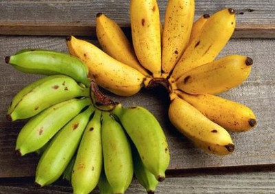 Какие проблемы можно решить с помощью бананов