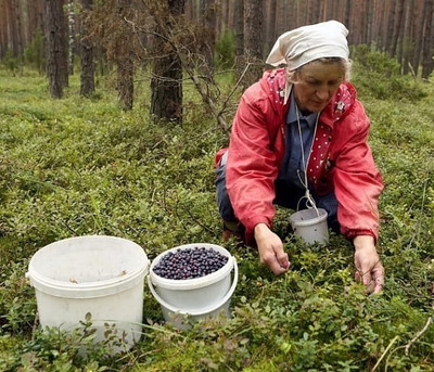 Медики рассказали какие плоды следует чаще употреблять людям, старше 6