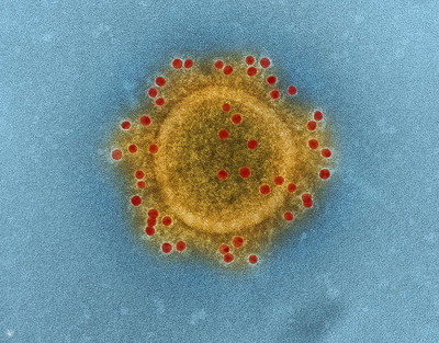 Что не спасет от коронавируса: советы медиков